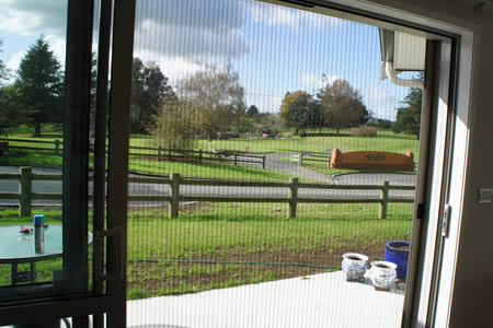 Pleated Screen from inside